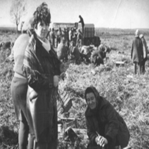 Обкладинка