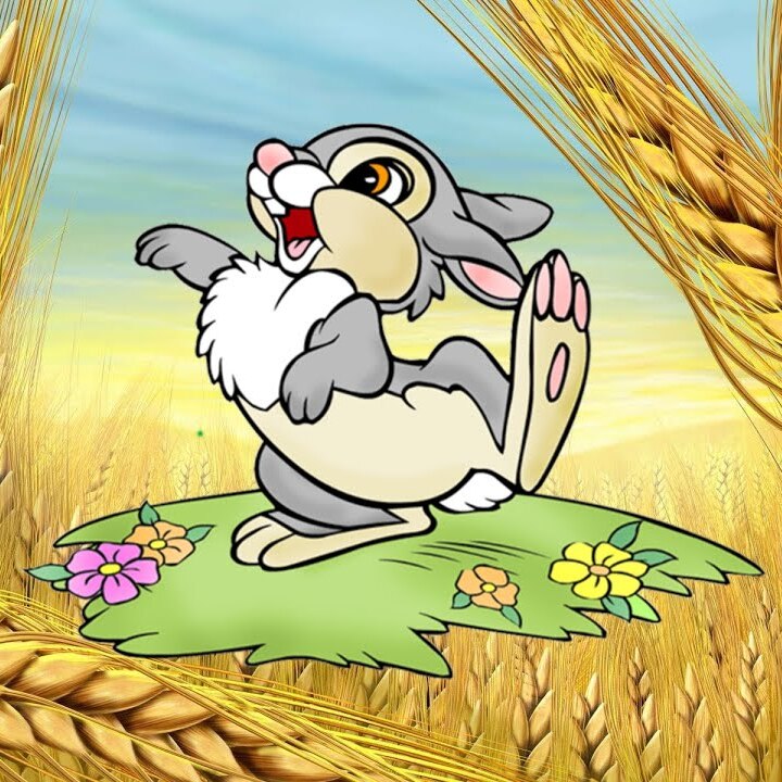 Обкладинка