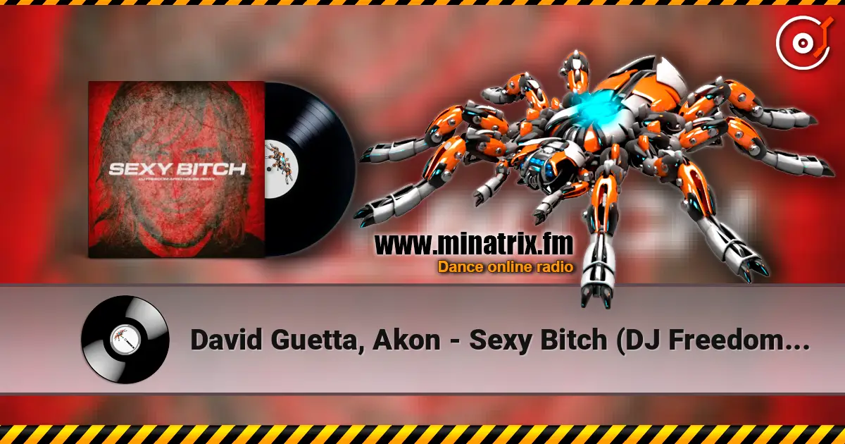 David Guetta, Akon - Sexy Bitch (DJ Freedom Radio Edit) ������� ���������