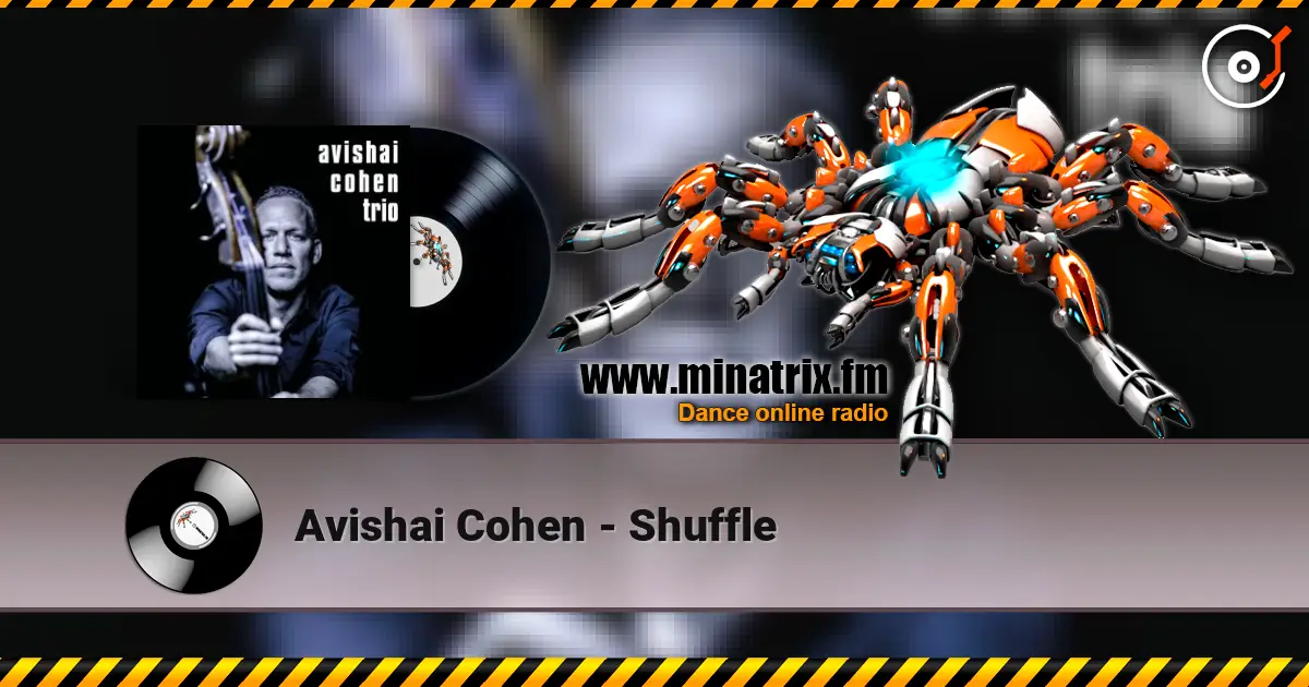 Avishai Cohen - Shuffle ������� ���������