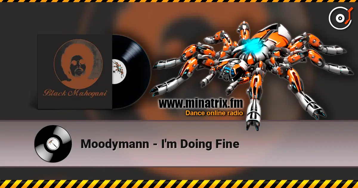 Moodymann - I'm Doing Fine слухати онлайн у високій якості | Minatrix.FM