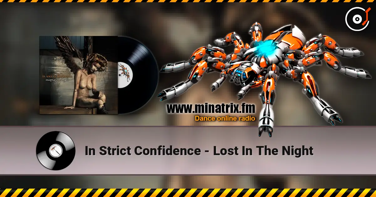 In Strict Confidence - Lost In The Night ������� ���������