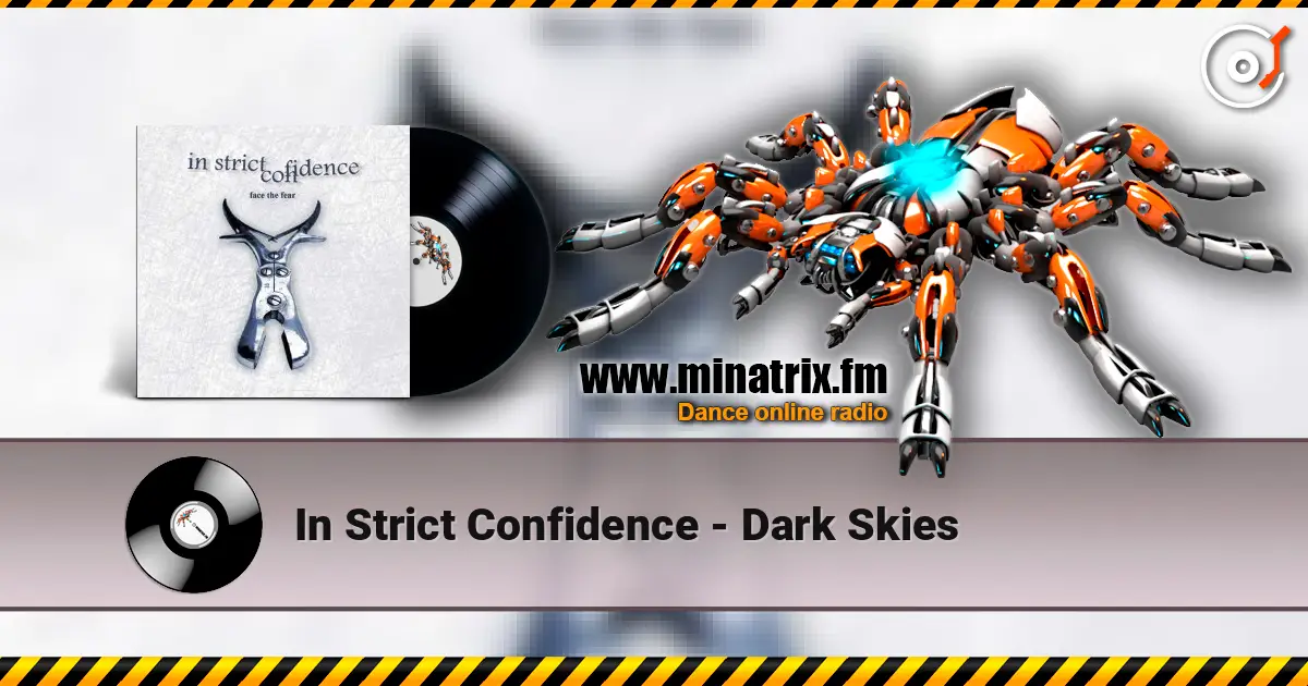 In Strict Confidence - Dark Skies ������� ���������