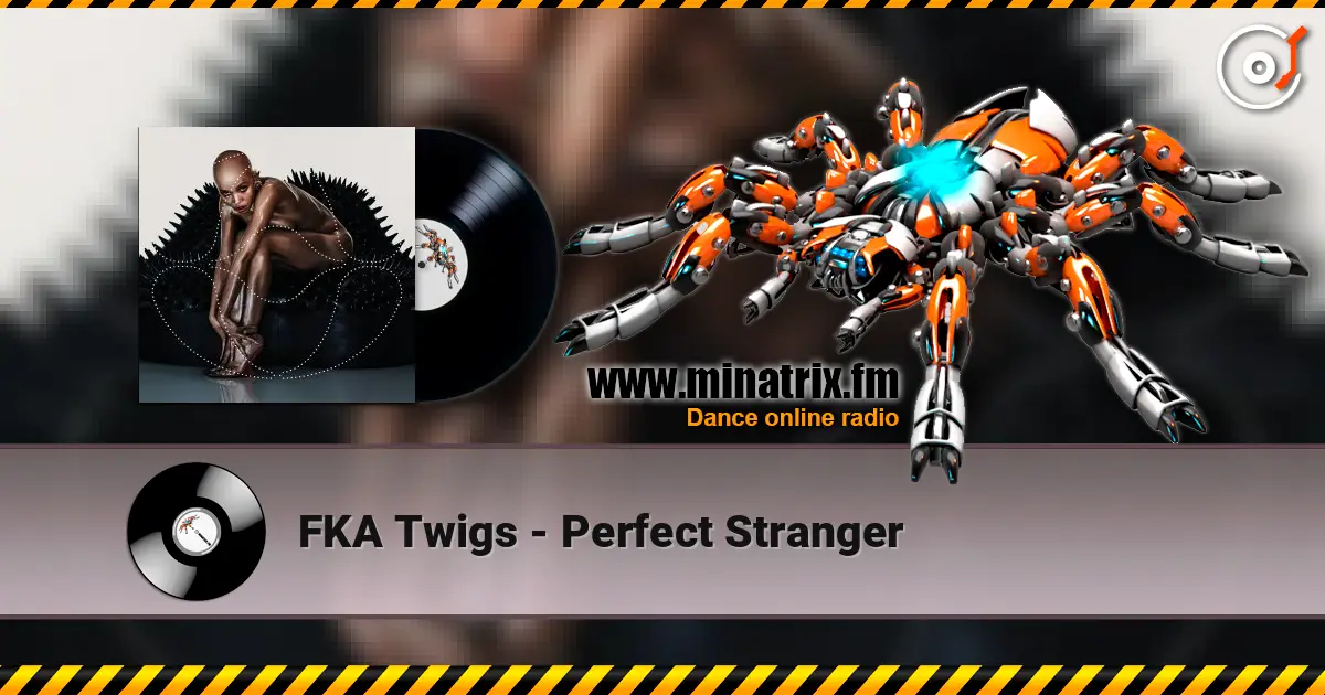 FKA Twigs - Perfect Stranger ������� ���������