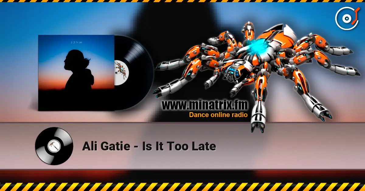 Ali Gatie - Is It Too Late ������� ���������