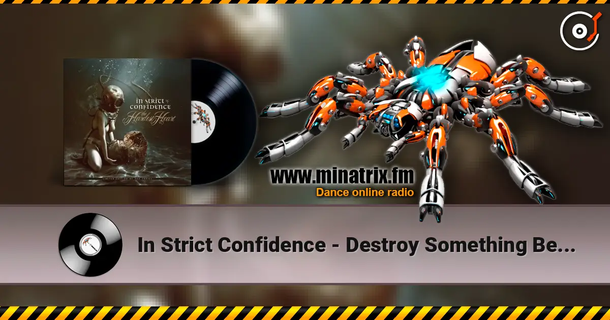 In Strict Confidence - Destroy Something Beautiful ������� ���������