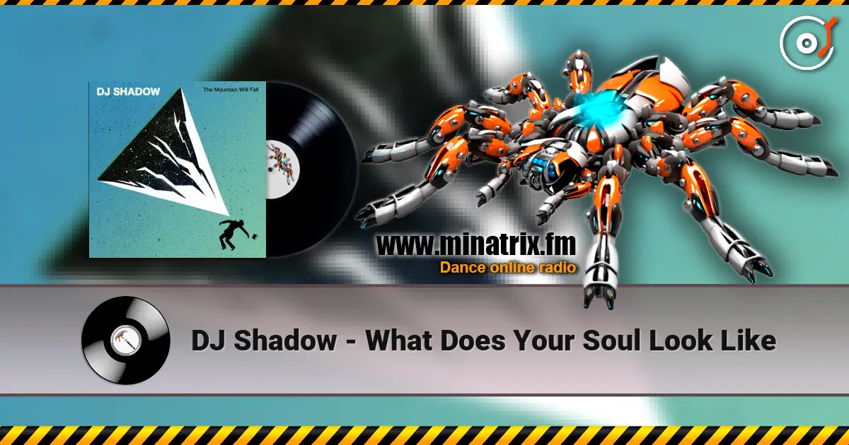 DJ Shadow - What Does Your Soul Look Like ������� ���������