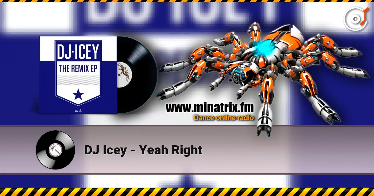 DJ Icey - Yeah Right ������� ���������