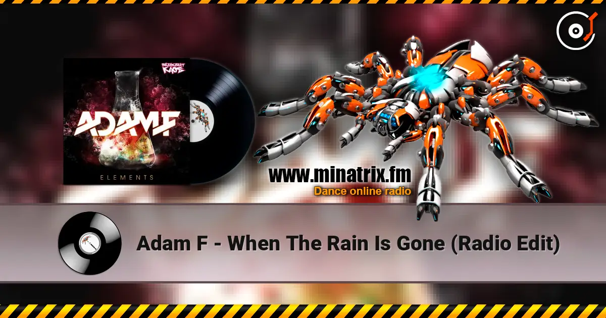 Adam F - When The Rain Is Gone (Radio Edit) ������� ���������