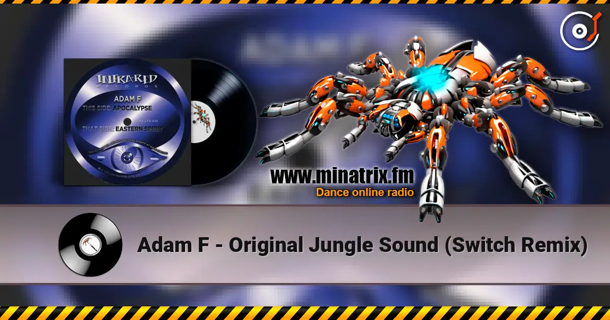Adam F - Original Jungle Sound (Switch Remix) ������� ���������