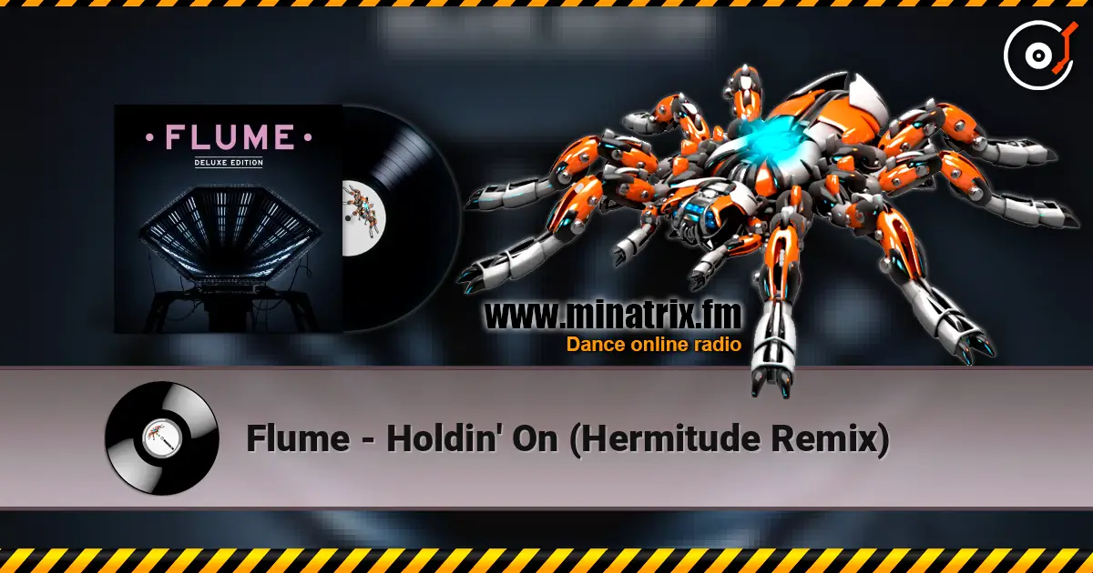 Flume - Holdin' On (Hermitude Remix) ������� ���������