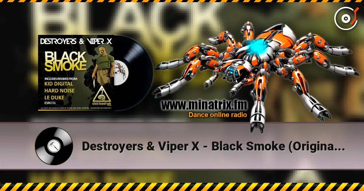 Destroyers & Viper X - Black Smoke (Original Mix) ������� ���������