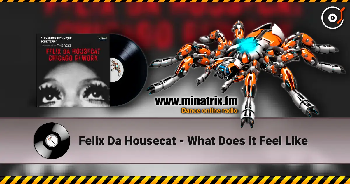 Felix Da Housecat - What Does It Feel Like ������� ���������