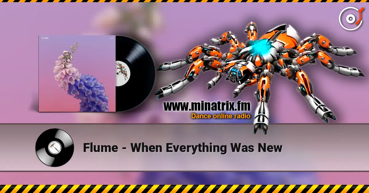 Flume - When Everything Was New ������� ���������