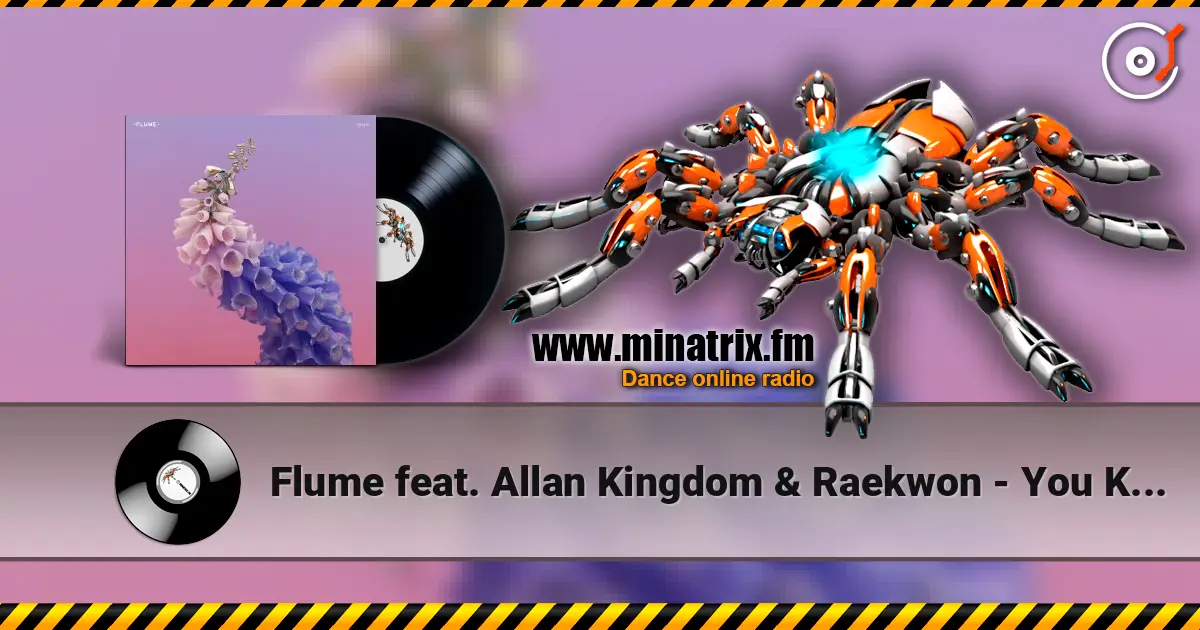 Flume feat. Allan Kingdom & Raekwon - You Know ������� ���������