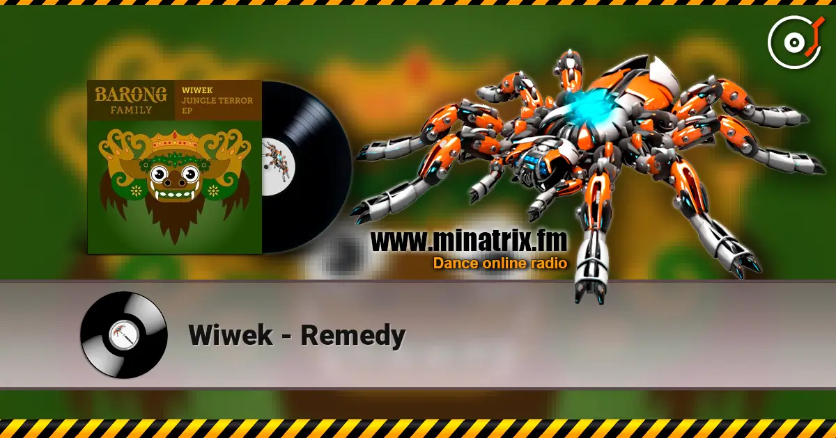 Wiwek - Remedy слухати онлайн у високій якості | Minatrix.FM