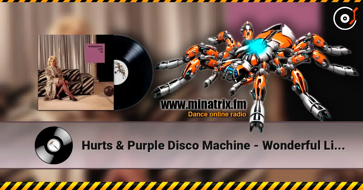 Hurts & Purple Disco Machine - Wonderful Life '25 ������� ���������