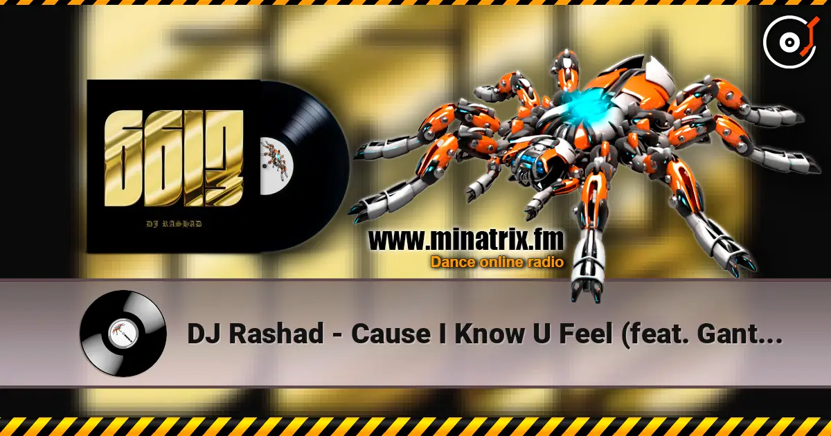 DJ Rashad - Cause I Know U Feel (feat. Gant-Man) слухати онлайн у високій якості | Minatrix.FM