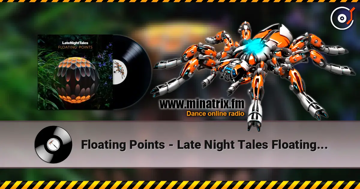 Floating Points - Late Night Tales Floating Points - Continuous Mix слухати онлайн у високій якості | Minatrix.FM