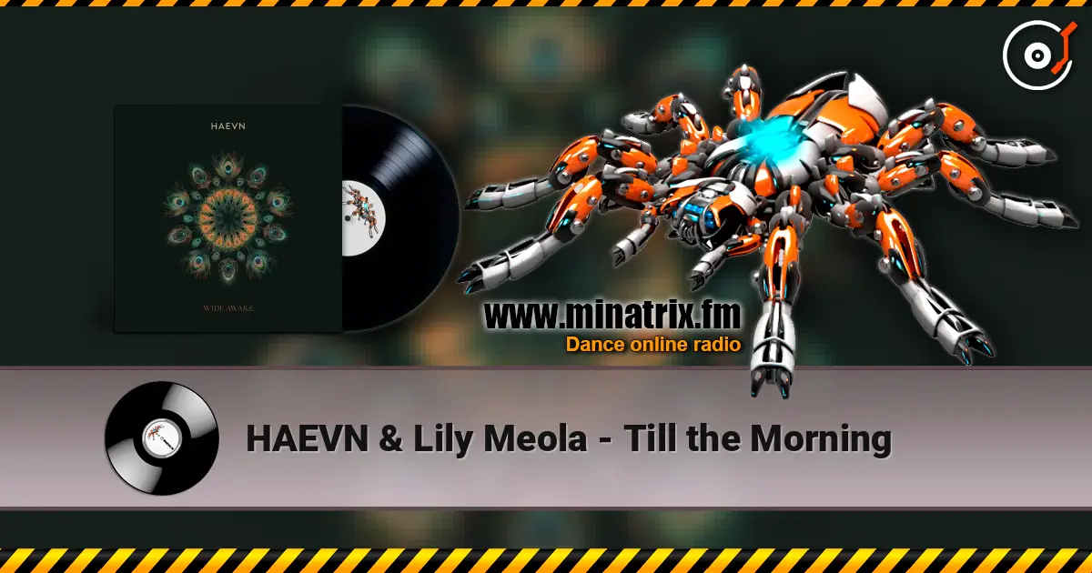 HAEVN & Lily Meola - Till the Morning ������� ���������