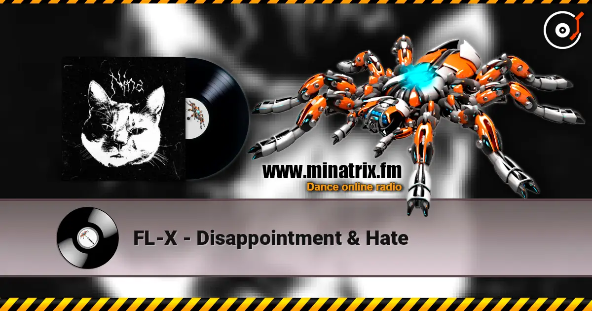 FL-X - Disappointment & Hate слухати онлайн у високій якості | Minatrix.FM