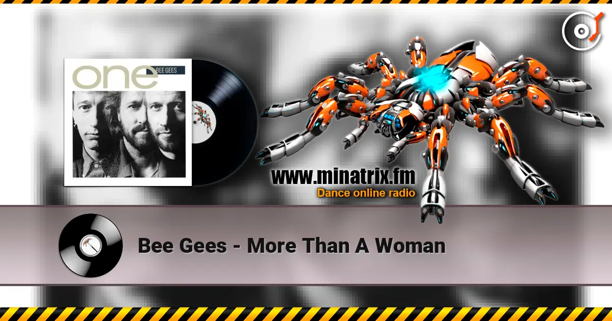Bee Gees - More Than A Woman ������� ���������