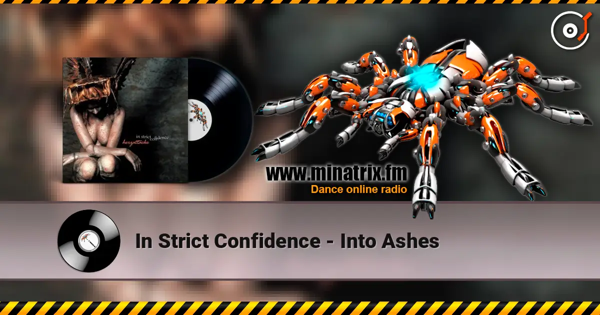 In Strict Confidence - Into Ashes ������� ���������