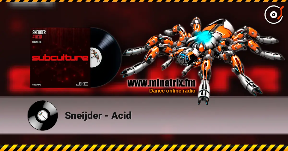 Sneijder - Acid ������� ���������