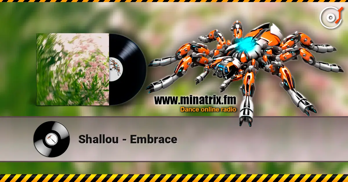 Shallou - Embrace слухати онлайн у високій якості | Minatrix.FM