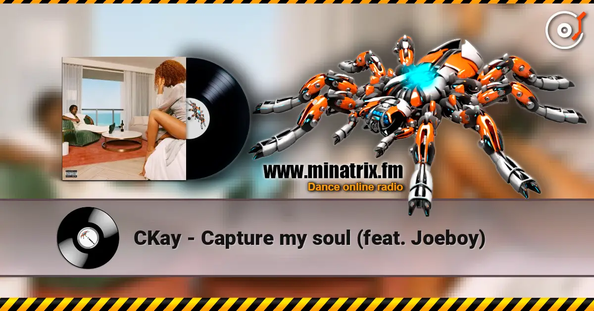 CKay - Capture my soul (feat. Joeboy) ������� ���������