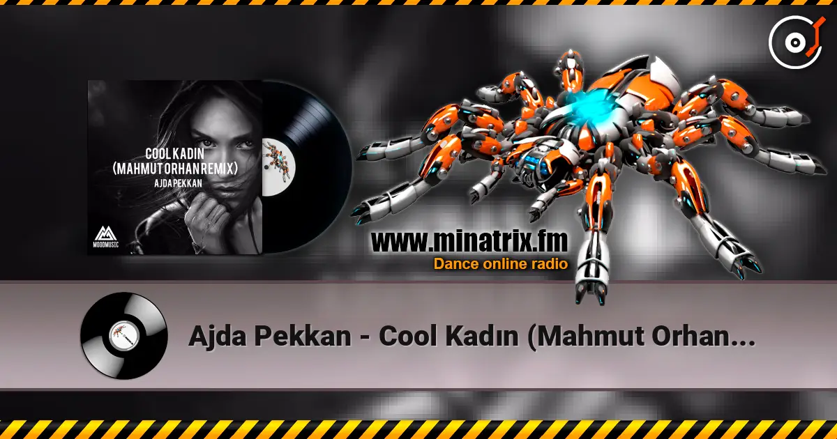 Ajda Pekkan - Cool Kadın (Mahmut Orhan Remix) ������� ���������