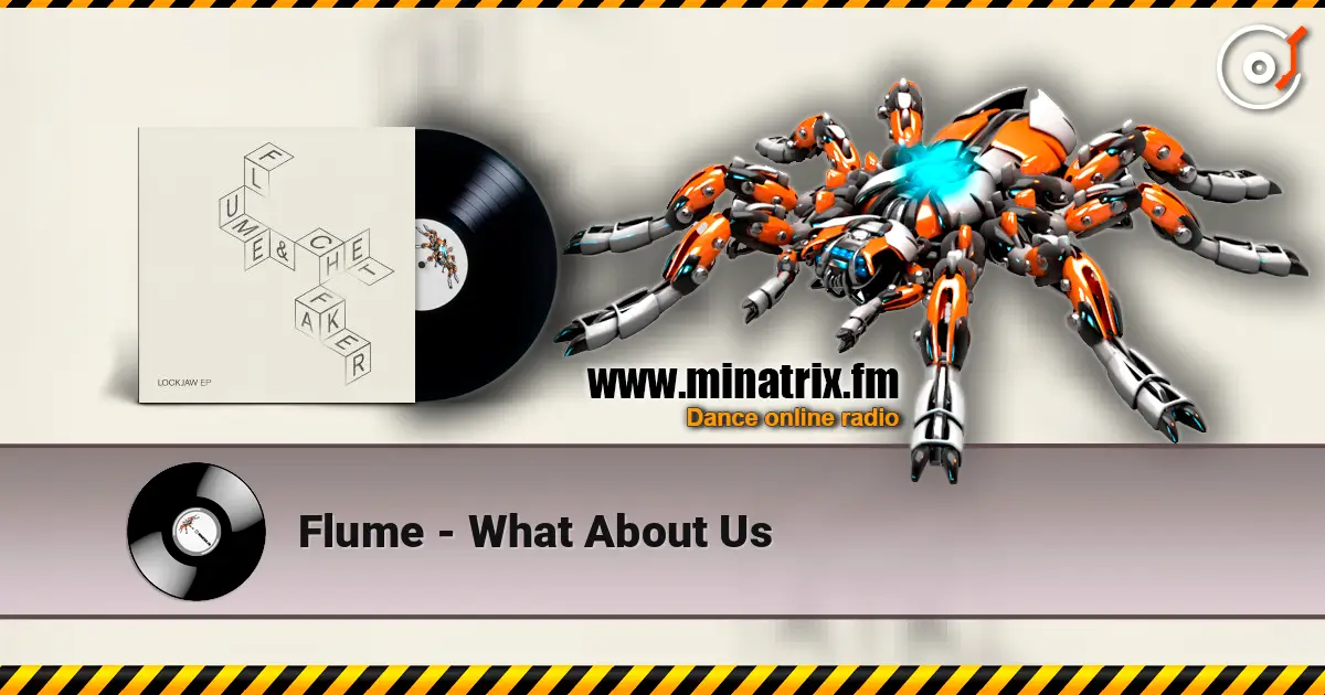 Flume - What About Us ������� ���������