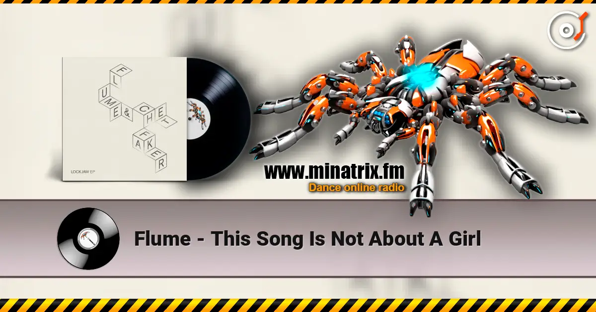 Flume - This Song Is Not About A Girl ������� ���������