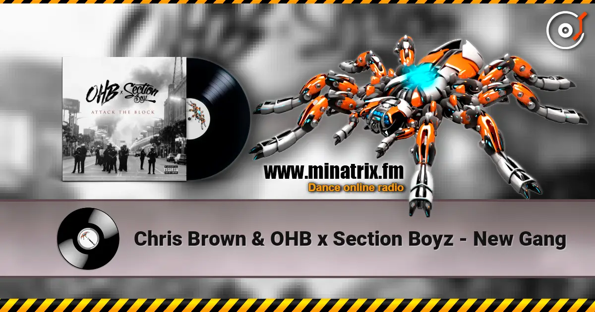 Chris Brown & OHB x Section Boyz - New Gang ������� ���������