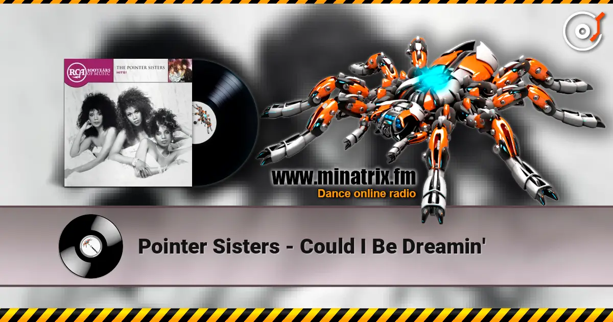 Pointer Sisters - Could I Be Dreamin' ������� ���������