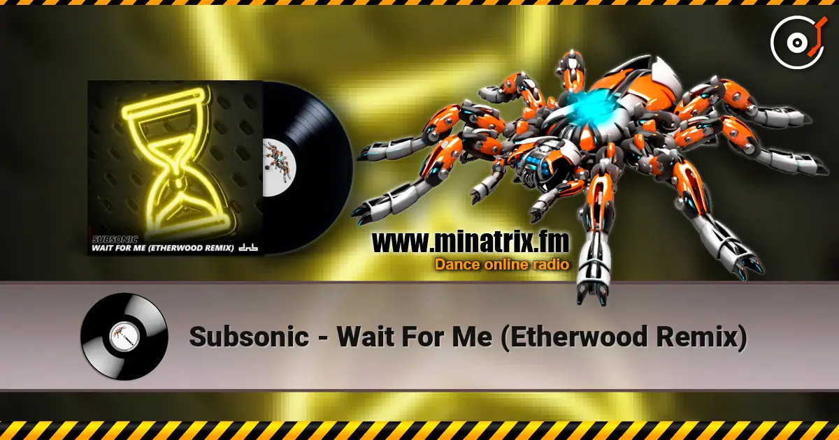 Subsonic - Wait For Me (Etherwood Remix) ������� ���������