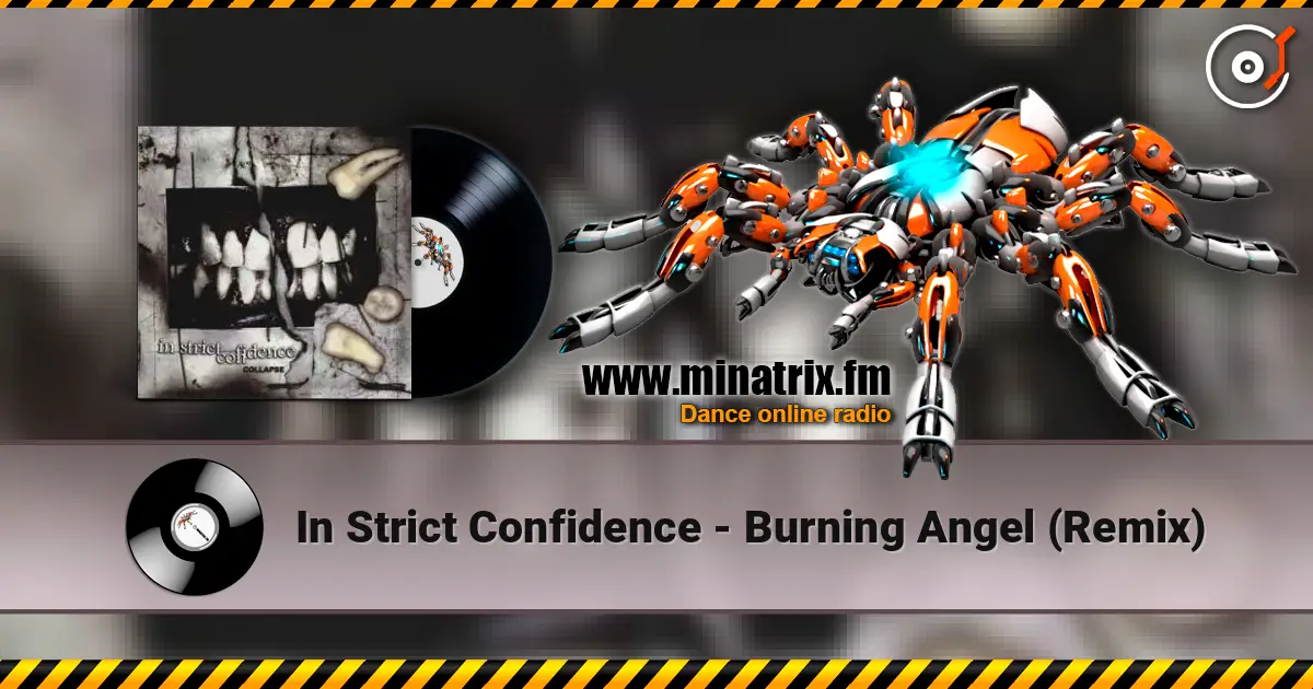 In Strict Confidence - Burning Angel (Remix) слухати онлайн у високій якості | Minatrix.FM