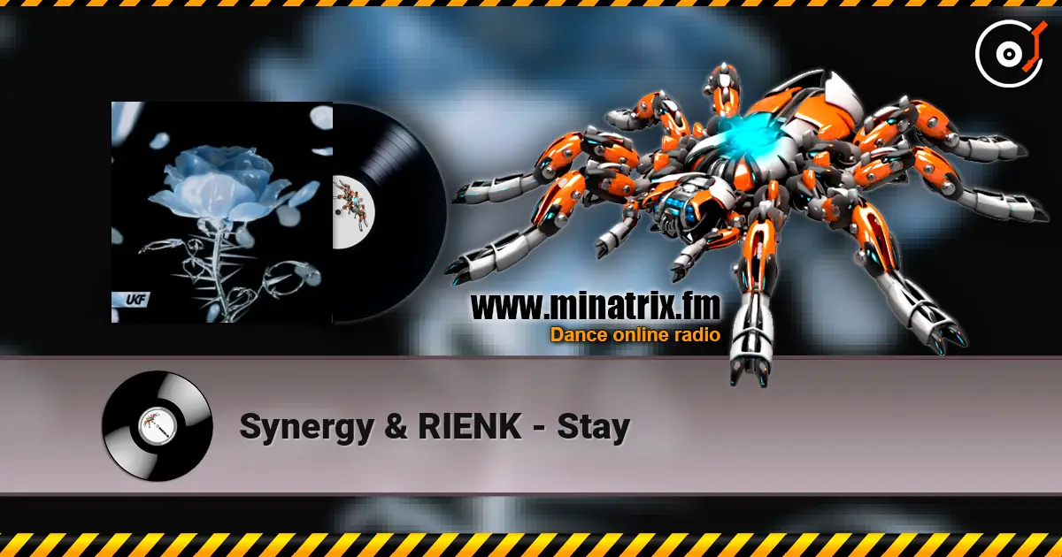 Synergy & RIENK - Stay слухати онлайн у високій якості | Minatrix.FM
