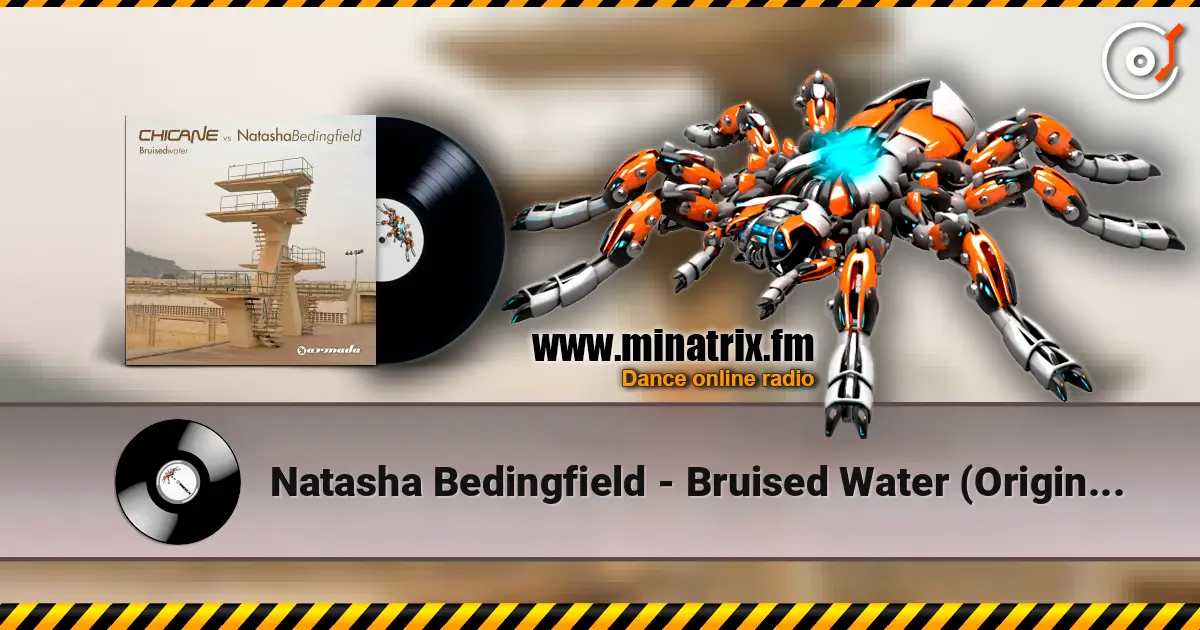Natasha Bedingfield - Bruised Water (Original Mix) listen online in high quality | Minatrix.FM