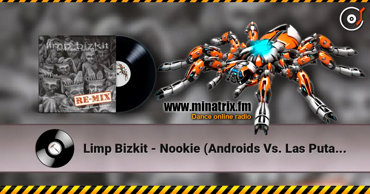 Limp Bizkit - Nookie (Androids Vs. Las Putas Remix) ������� ���������