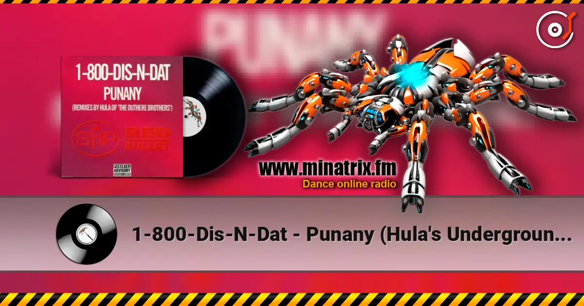 1-800-Dis-N-Dat - Punany (Hula's Underground Long) ������� ���������