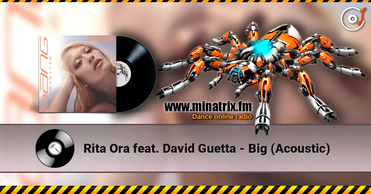 Rita Ora feat. David Guetta - Big (Acoustic) ������� ���������