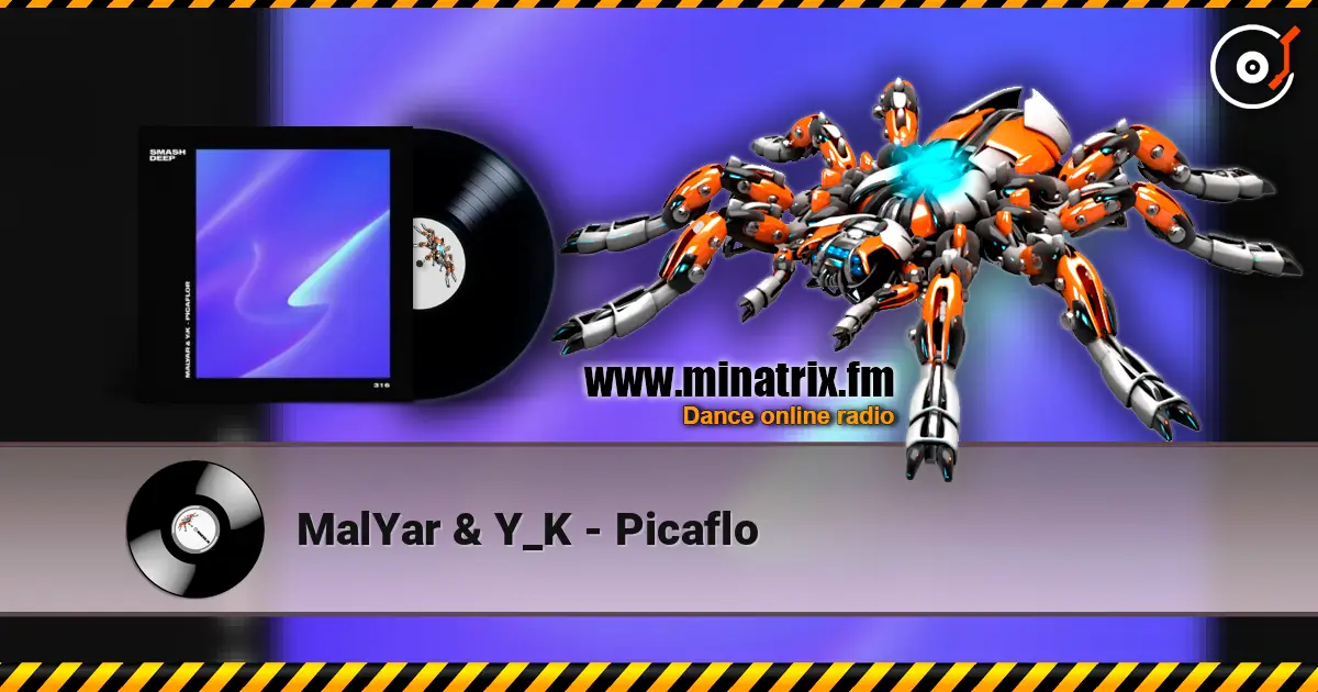MalYar & Y_K - Picaflo слухати онлайн у високій якості | Minatrix.FM