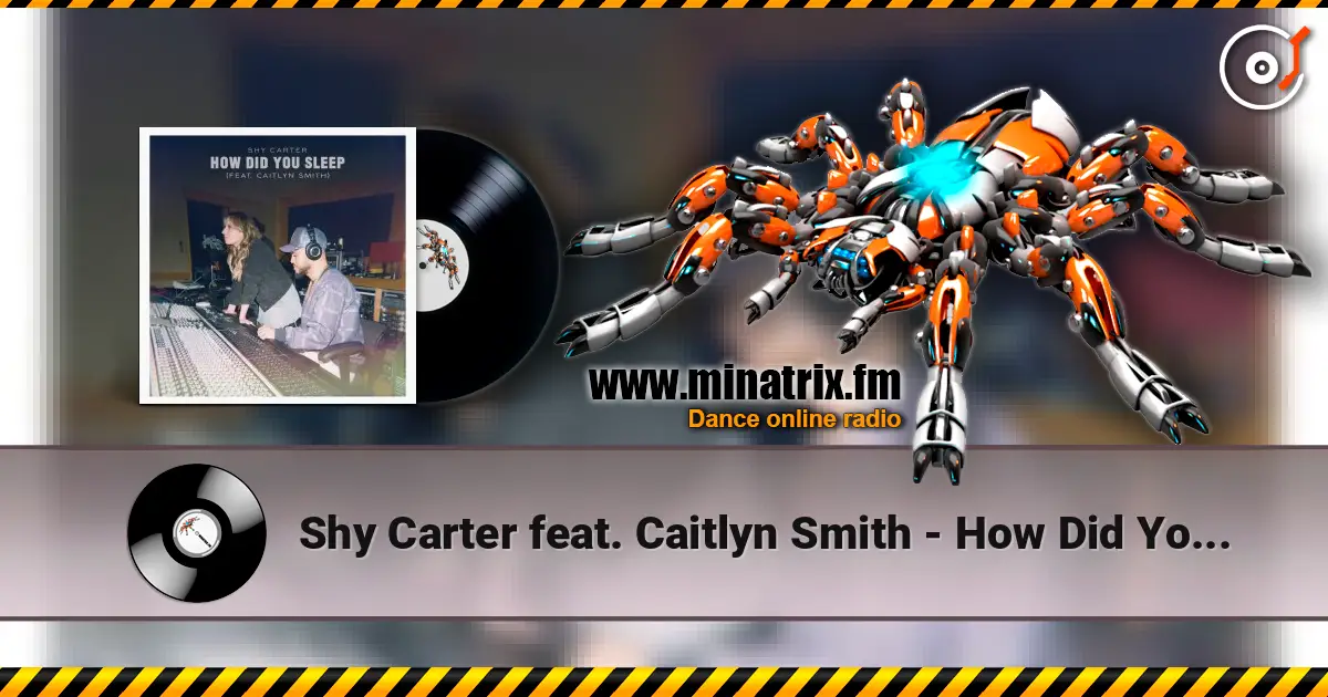 Shy Carter feat. Caitlyn Smith - How Did You Sleep listen online in high quality | Minatrix.FM