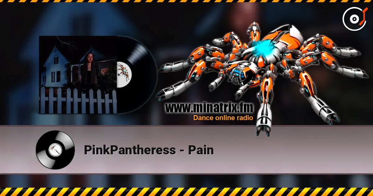 PinkPantheress - Pain listen online in high quality | Minatrix.FM
