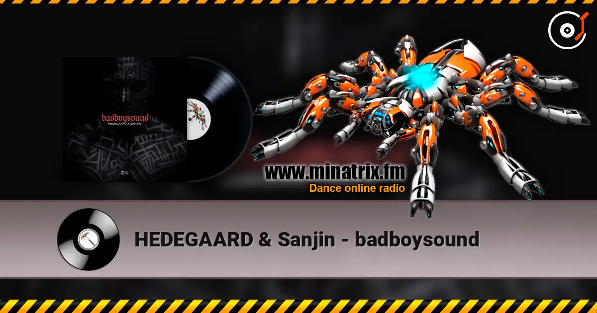 HEDEGAARD & Sanjin - badboysound ������� ���������