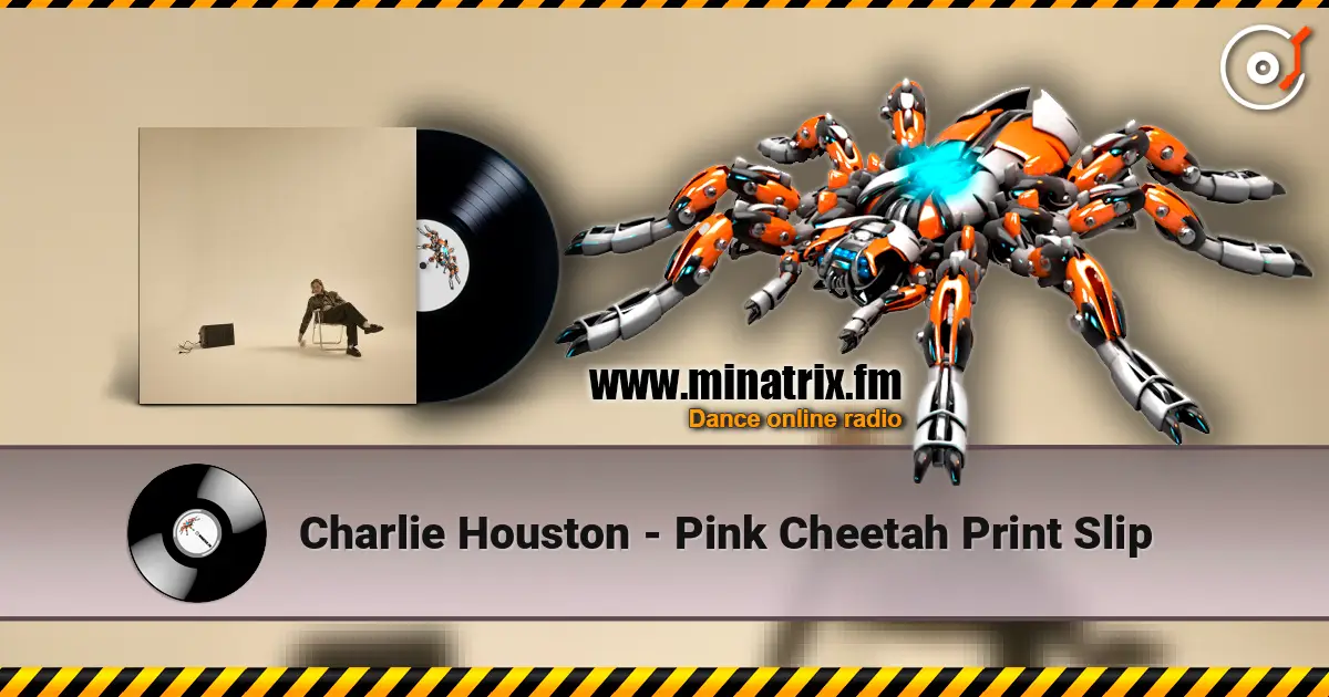 Charlie Houston - Pink Cheetah Print Slip listen online in high quality | Minatrix.FM