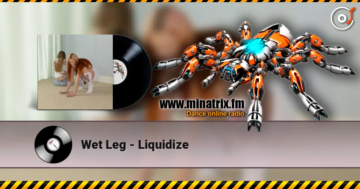 Wet Leg - Liquidize слухати онлайн у високій якості | Minatrix.FM