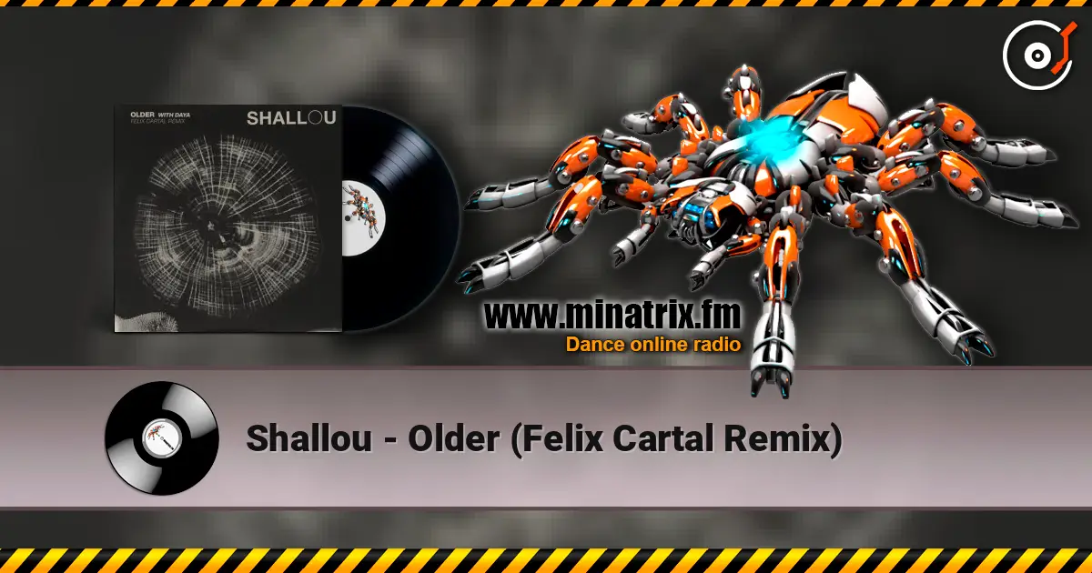 Shallou - Older (Felix Cartal Remix) ������� ���������