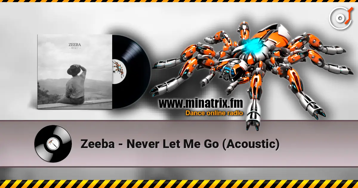 Zeeba - Never Let Me Go (Acoustic) ������� ���������